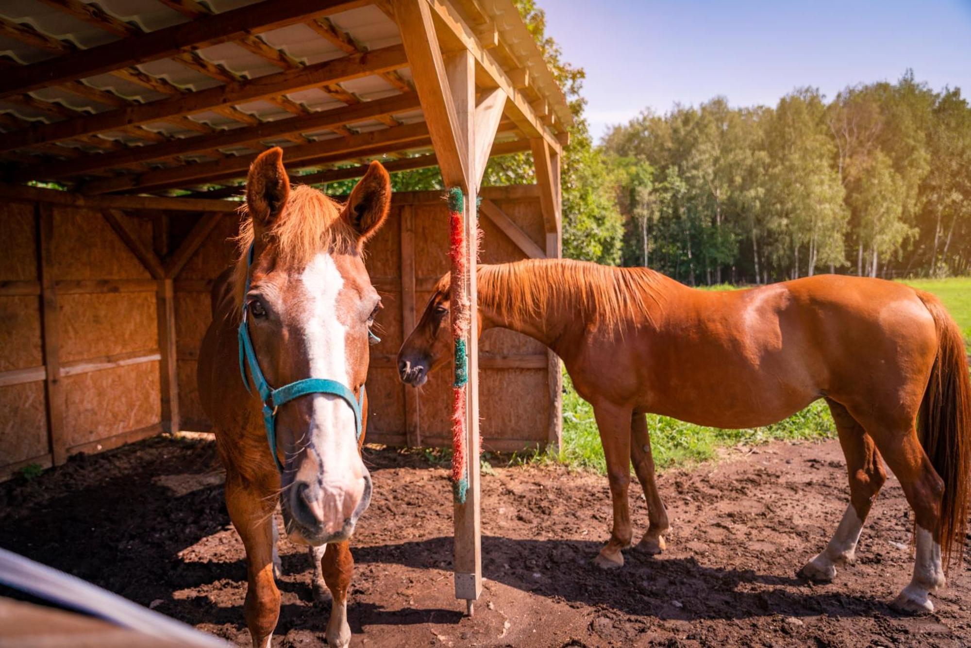 Pension U Jezu Klasterec nad Ohri Luaran gambar